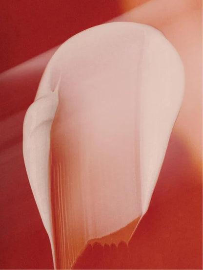 Timeless Radiance Collection Box