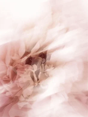 Light Moisturising Day Cream – Hydrating & Weightless