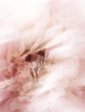 Collagen Anti-Age Night Cream – Regenerating & Firming