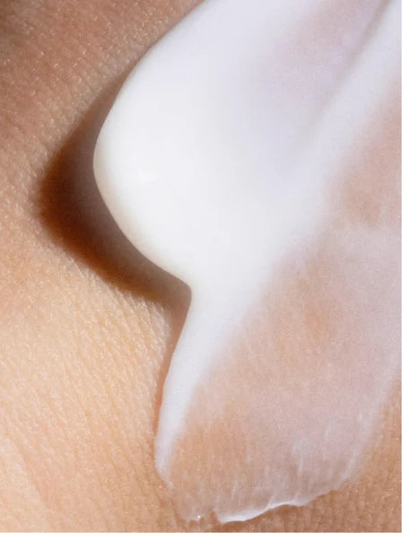 Moisturising Day Cream – Nourishing Comfort & Daily Protection