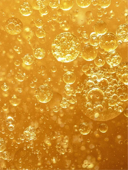 Timeless Radiance Collection Box