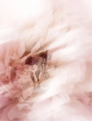 Smoothing Eye Cream – Anti-Wrinkle & Hydration