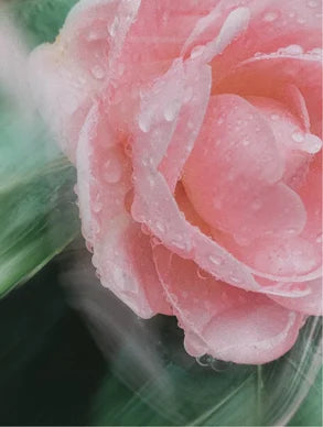 Mineral Sunscreen SPF30 – Broad Spectrum Face & Body Protection