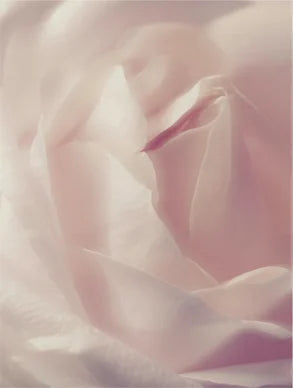 Cleansing Foam – Deep Clean & Pore Refining